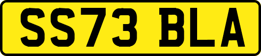 SS73BLA