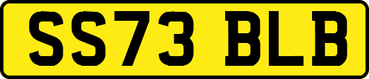 SS73BLB