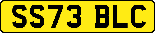 SS73BLC