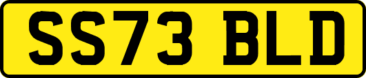 SS73BLD