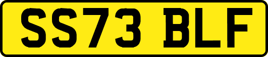 SS73BLF