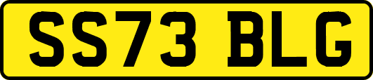 SS73BLG