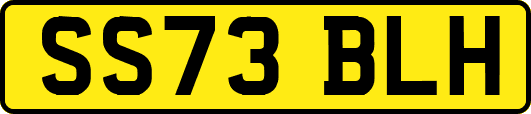 SS73BLH