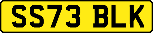 SS73BLK