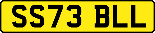 SS73BLL