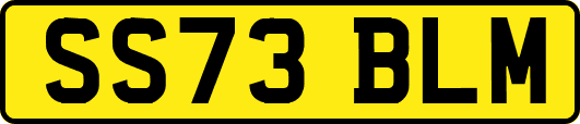 SS73BLM