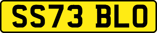 SS73BLO