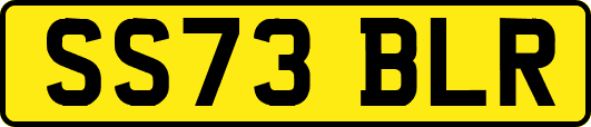 SS73BLR