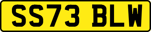 SS73BLW