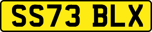 SS73BLX