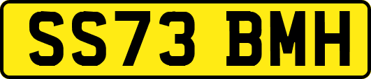 SS73BMH