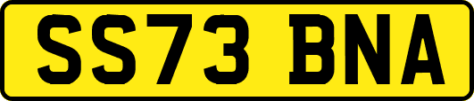 SS73BNA