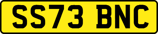 SS73BNC