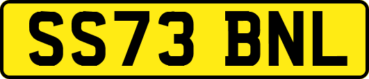SS73BNL