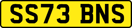 SS73BNS