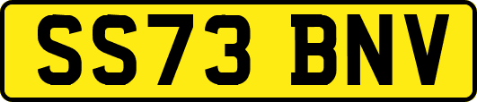 SS73BNV