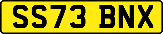 SS73BNX