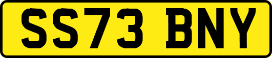SS73BNY