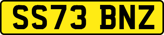 SS73BNZ