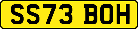 SS73BOH