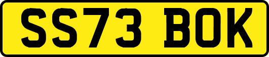 SS73BOK