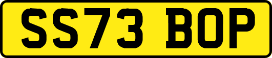 SS73BOP