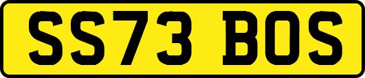 SS73BOS