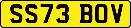 SS73BOV