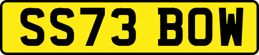 SS73BOW