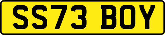 SS73BOY