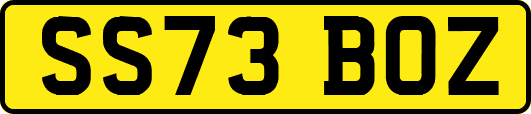 SS73BOZ