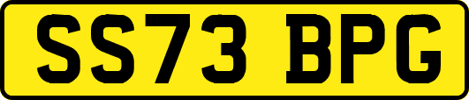 SS73BPG