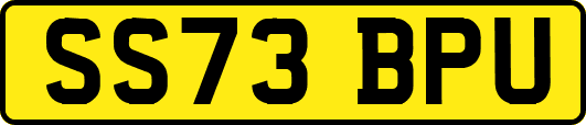 SS73BPU