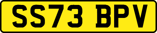 SS73BPV