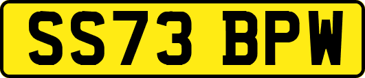 SS73BPW