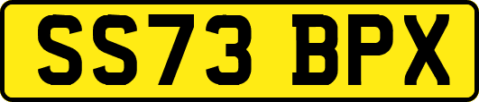 SS73BPX