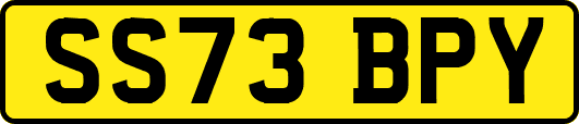 SS73BPY