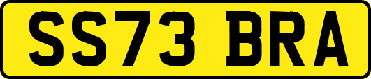 SS73BRA