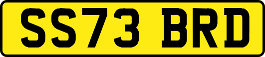 SS73BRD
