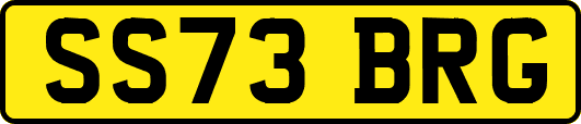 SS73BRG