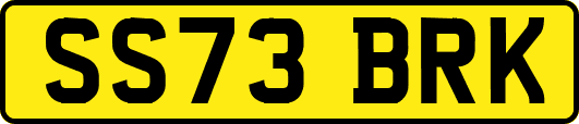 SS73BRK