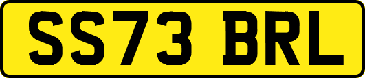 SS73BRL