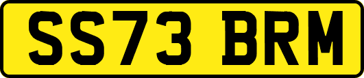SS73BRM