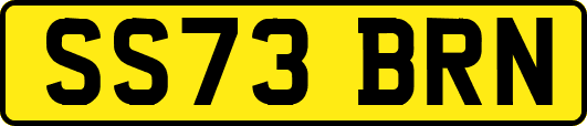 SS73BRN