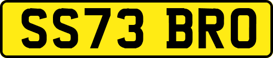 SS73BRO
