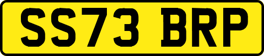 SS73BRP