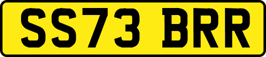 SS73BRR