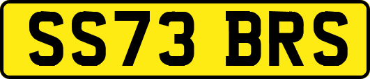 SS73BRS