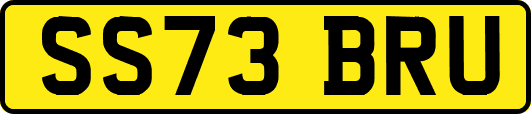 SS73BRU