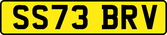 SS73BRV
